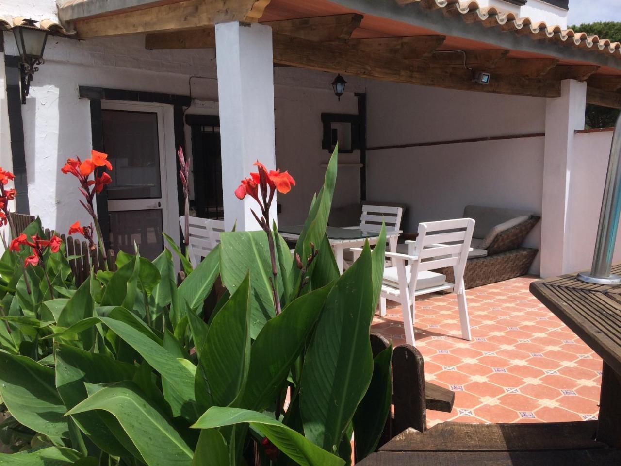 קוניל דה לה פרונטרה Villa Conil מראה חיצוני תמונה